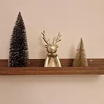 Lejlighed Wyzwolenia