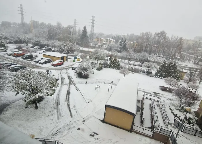 Daire Wyzwolenia Rzeszow